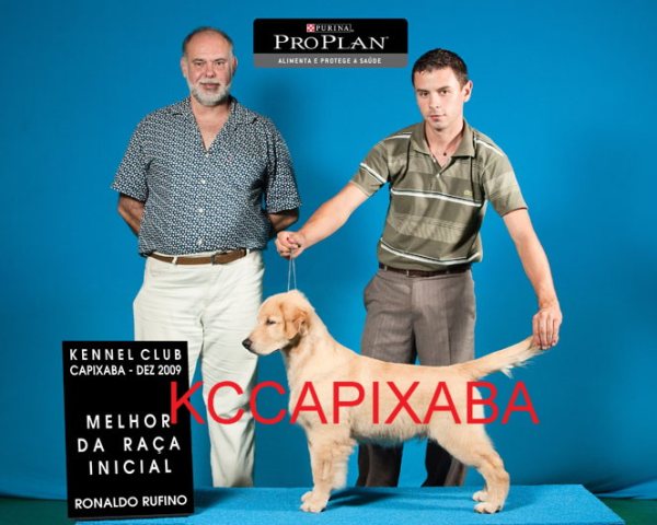 Clique sobre a foto para fechar